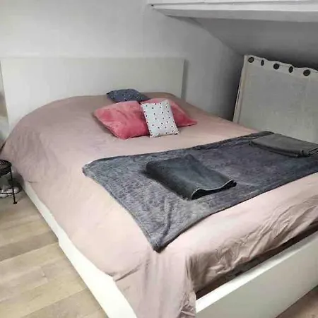 Duplex 45m2 -zac L'oreal - Palais De Justice Paris *