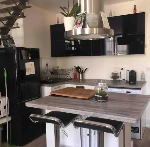 Appartement Duplex 45m2 -zac L'oreal - Palais De Justice Paris Clichy