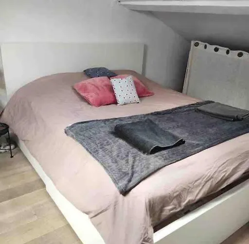 Duplex 45m2 -zac L'oreal - Palais De Justice Paris *